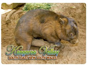 Kangaroo Valley Fridge Magnets. Variety Available
