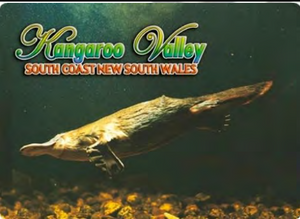 Kangaroo Valley Fridge Magnets. Variety Available