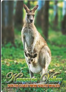 Kangaroo Valley Fridge Magnets. Variety Available