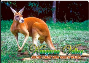 Kangaroo Valley Fridge Magnets. Variety Available