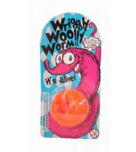 Load image into Gallery viewer, Wriggly Woolly Worms
